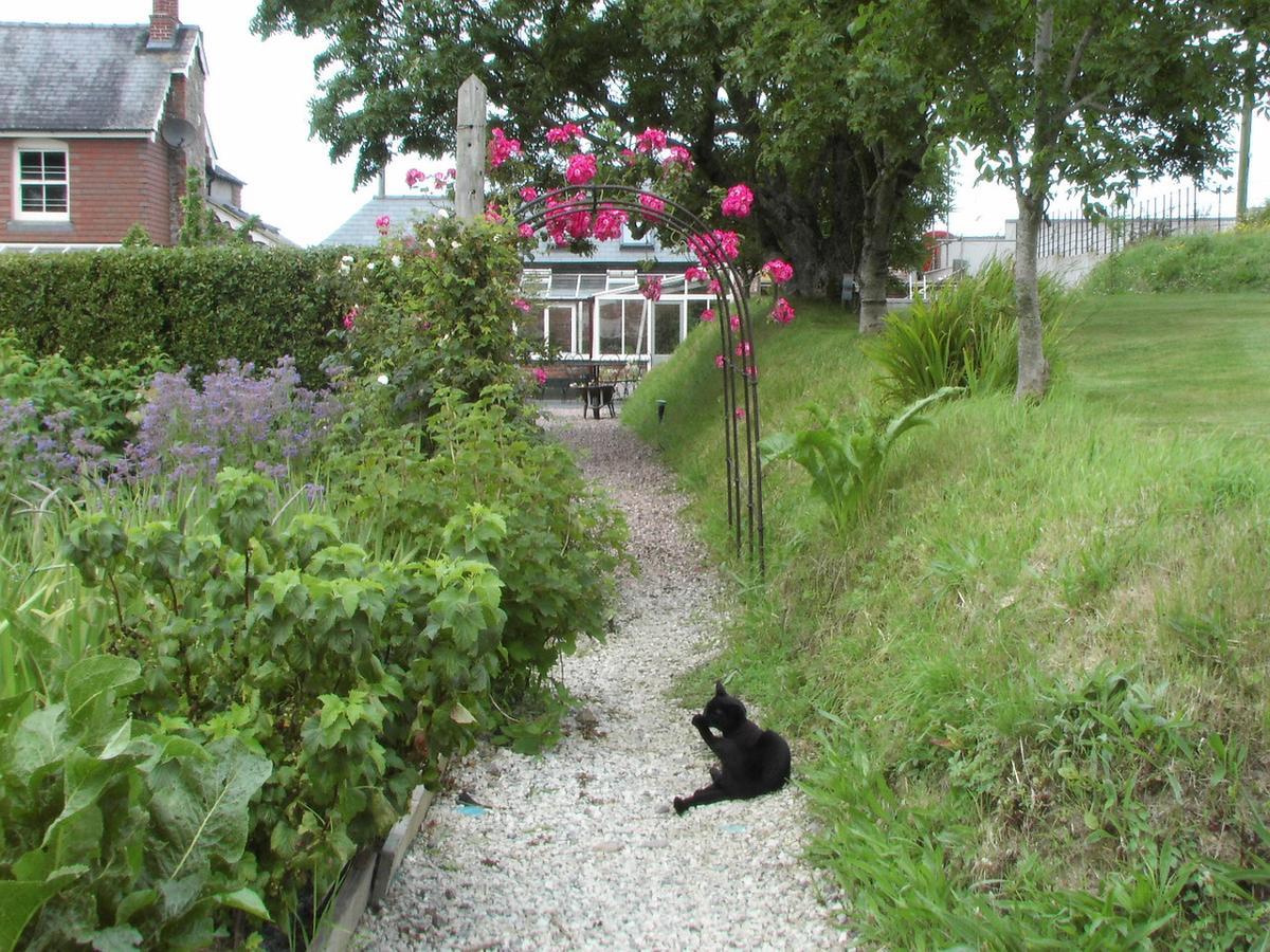 Bed and Breakfast Bangors Organic Bude Exterior foto