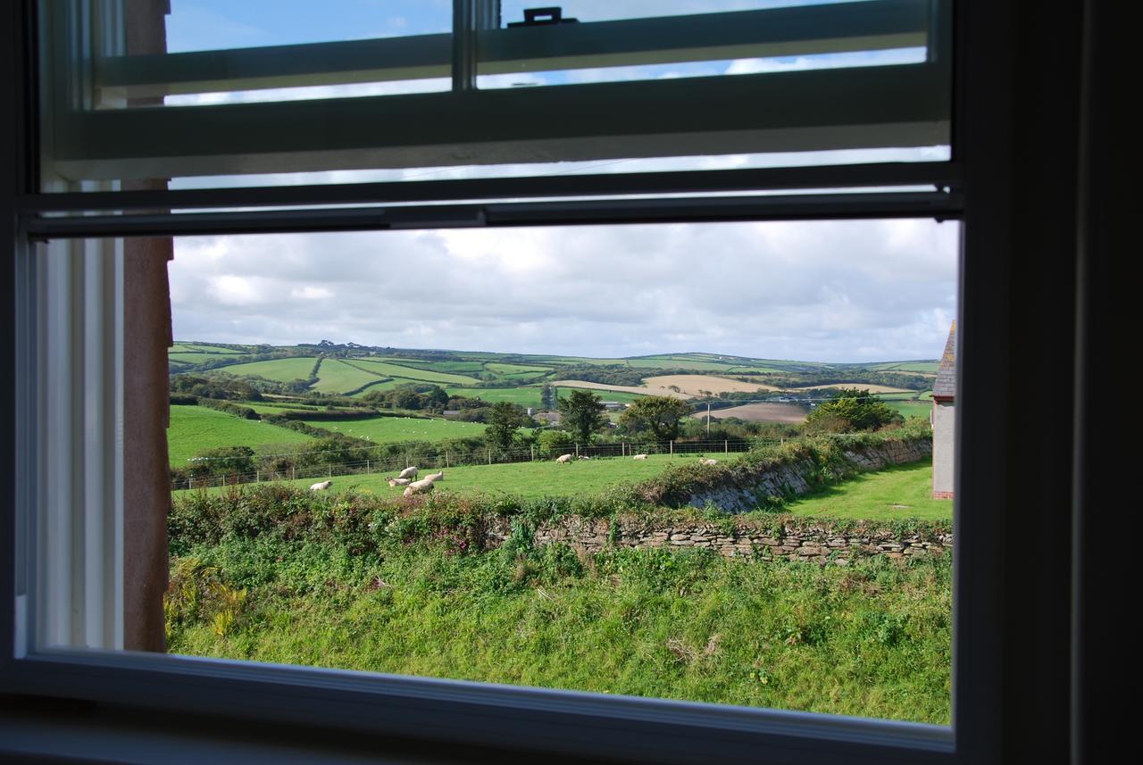 Bed and Breakfast Bangors Organic Bude Exterior foto